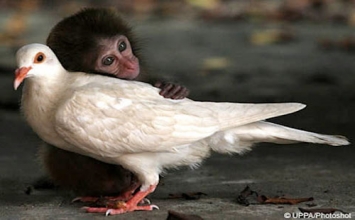 Kính trọng người lớn tuổi